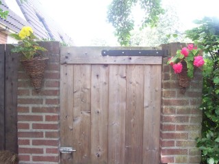 Tuin