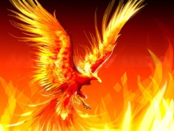 firephoenix